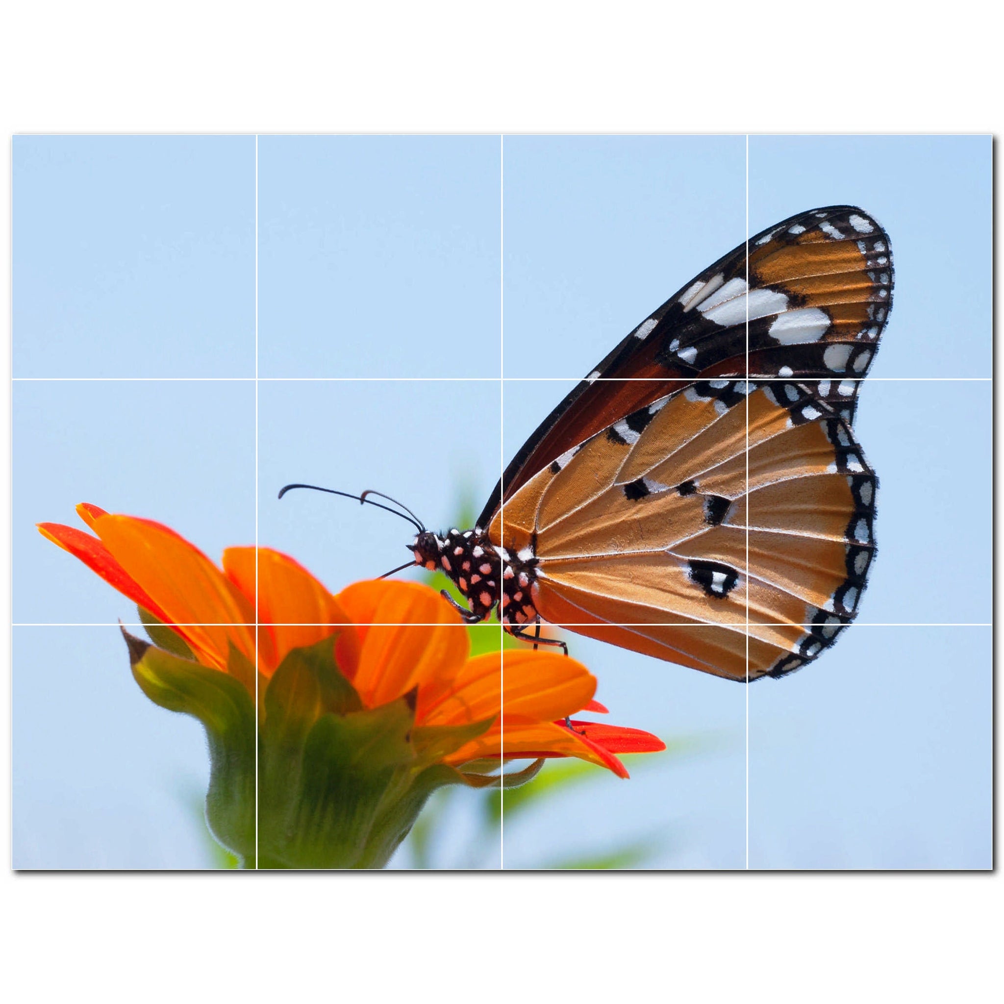 butterfly ceramic tile wall mural kitchen backsplash bathroom shower p500289