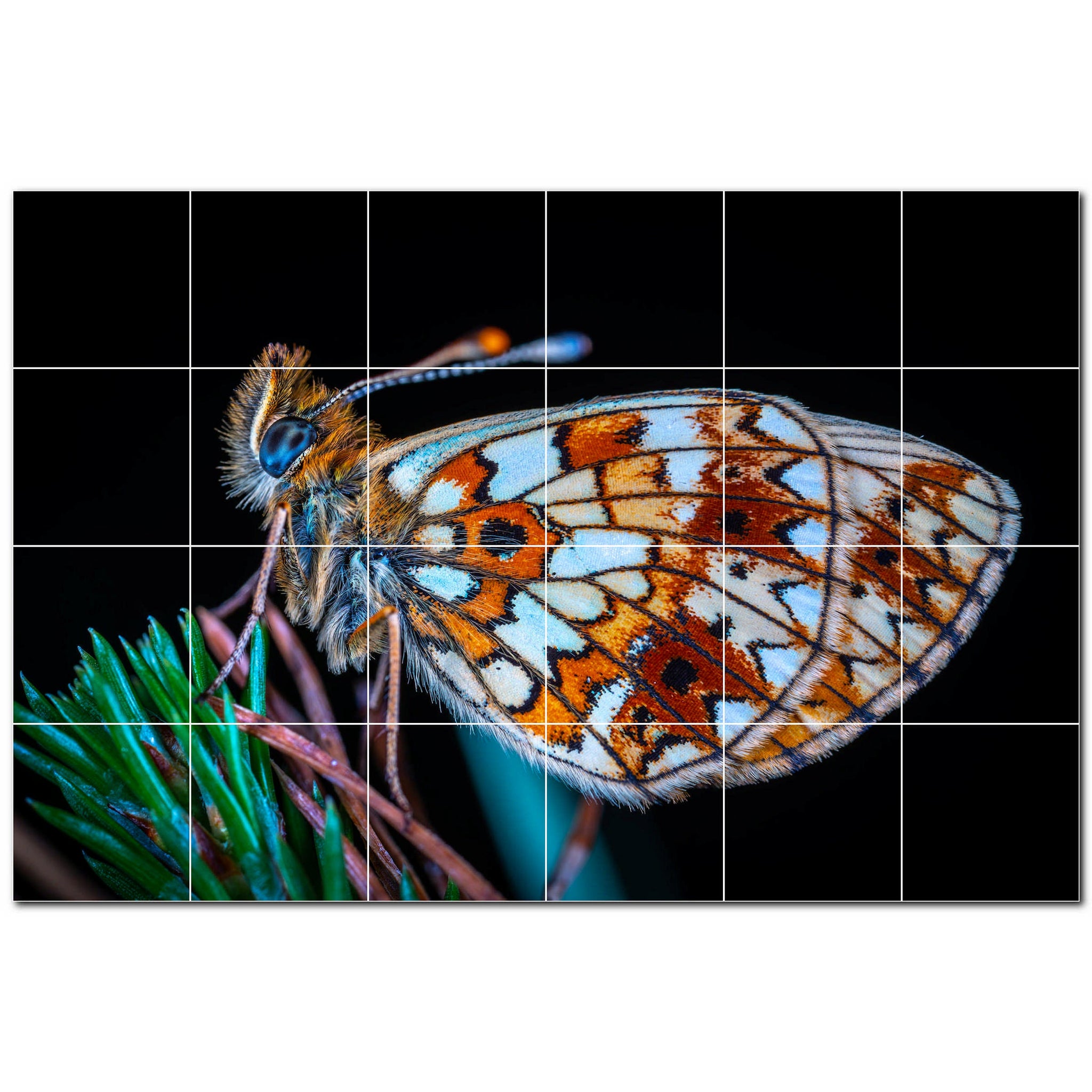 butterfly ceramic tile wall mural kitchen backsplash bathroom shower p500291