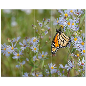 butterfly ceramic tile wall mural kitchen backsplash bathroom shower p500292