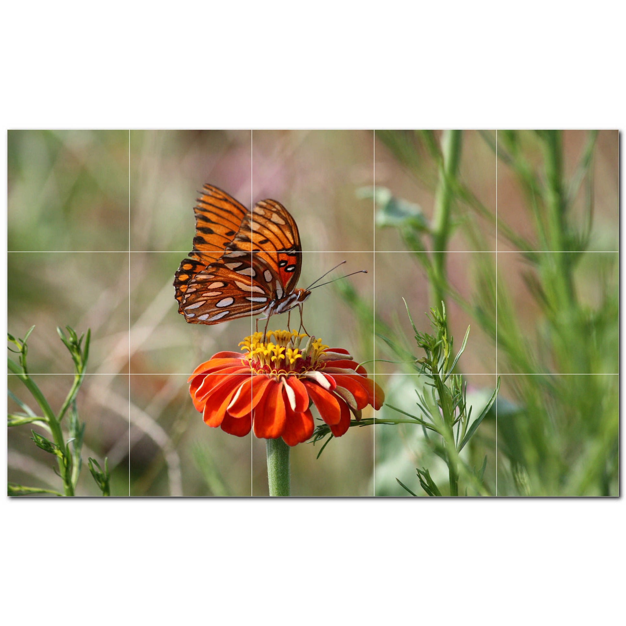 butterfly ceramic tile wall mural kitchen backsplash bathroom shower p500293