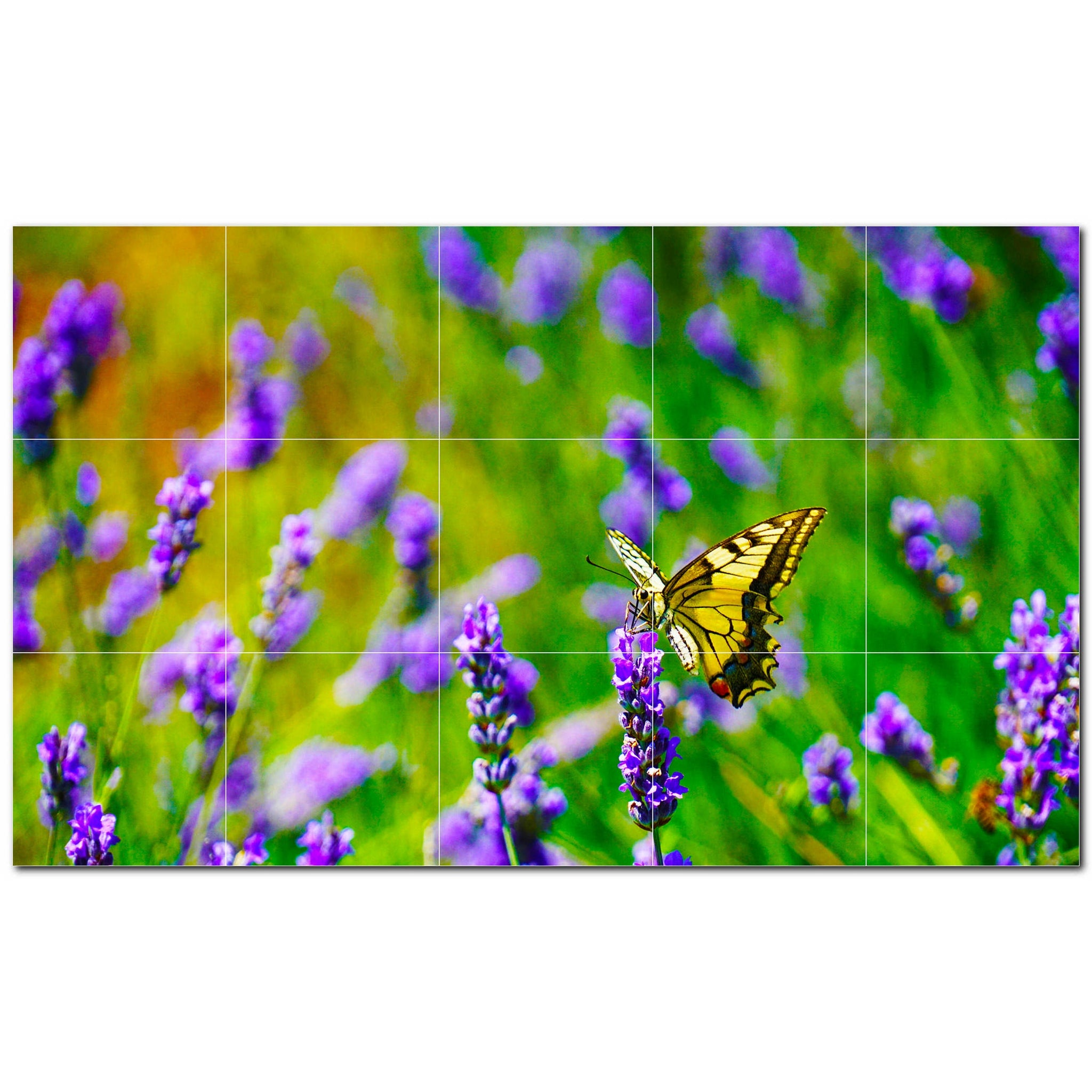 butterfly ceramic tile wall mural kitchen backsplash bathroom shower p500295