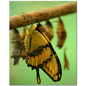 butterfly ceramic tile wall mural kitchen backsplash bathroom shower p500296