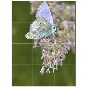 butterfly ceramic tile wall mural kitchen backsplash bathroom shower p500298