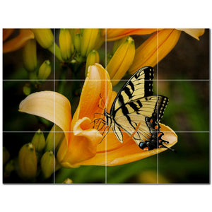 butterfly ceramic tile wall mural kitchen backsplash bathroom shower p500303