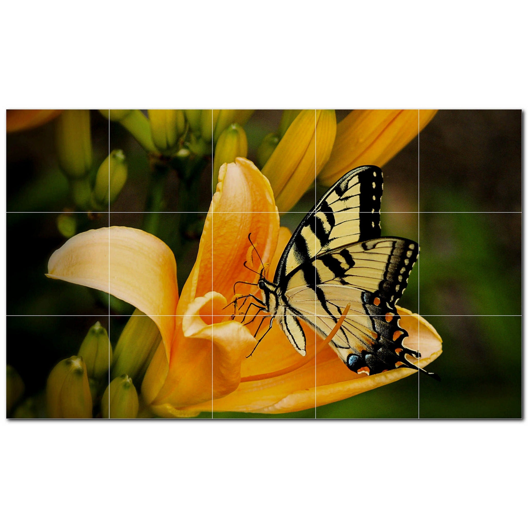 butterfly ceramic tile wall mural kitchen backsplash bathroom shower p500303