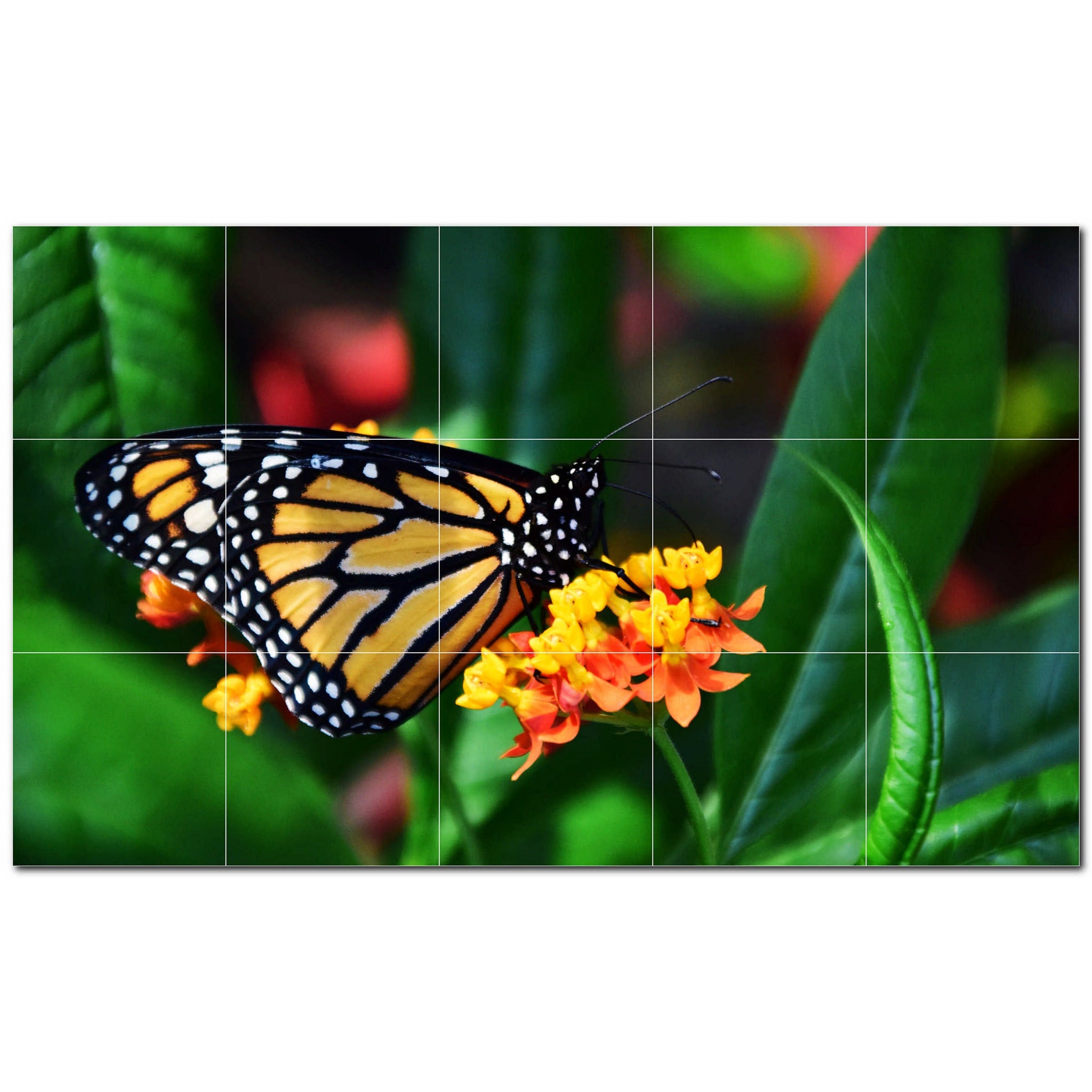 butterfly ceramic tile wall mural kitchen backsplash bathroom shower p500307