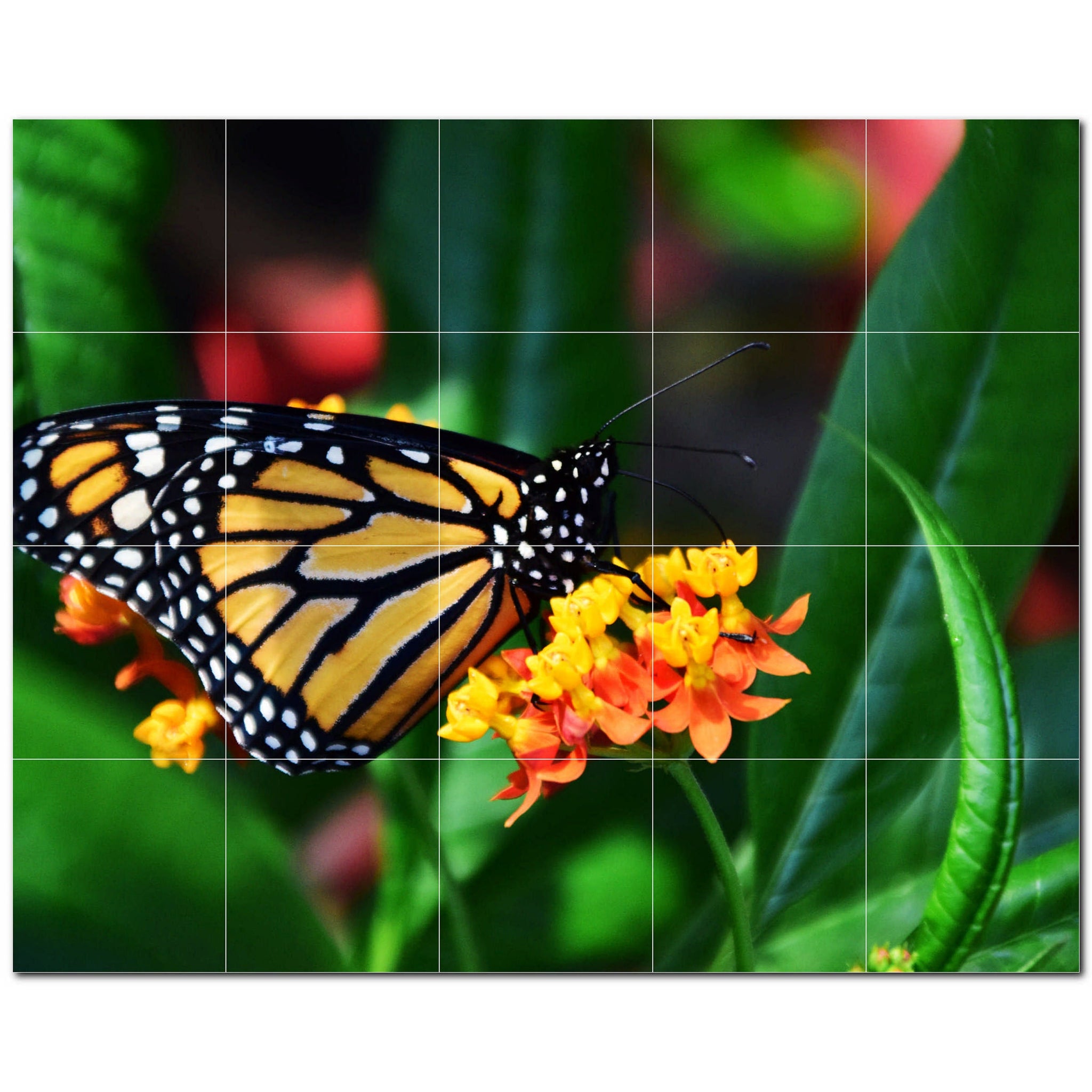 butterfly ceramic tile wall mural kitchen backsplash bathroom shower p500307