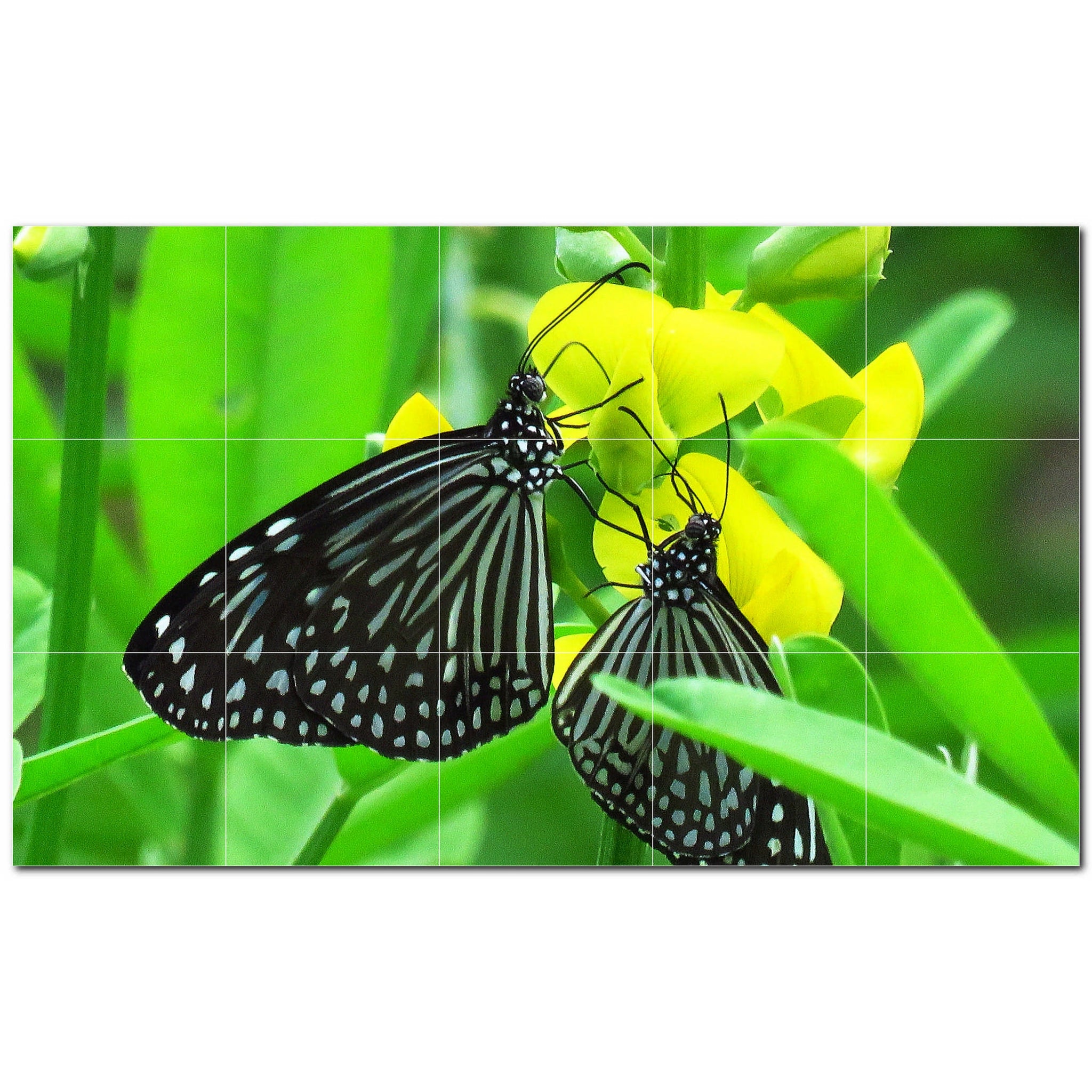 butterfly ceramic tile wall mural kitchen backsplash bathroom shower p500308