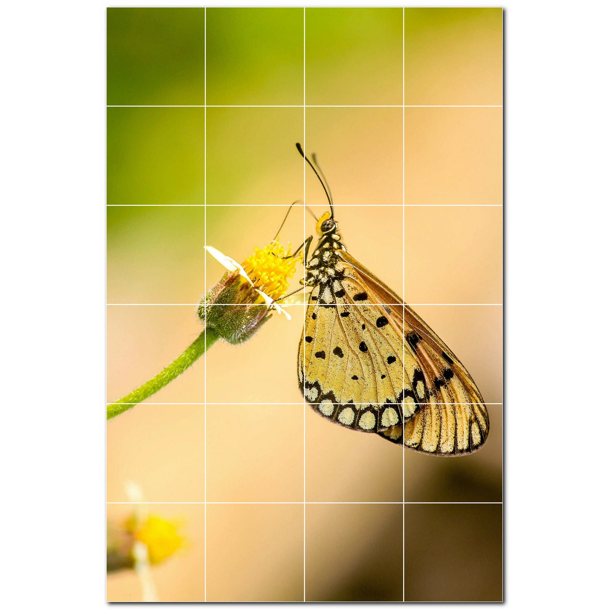 butterfly ceramic tile wall mural kitchen backsplash bathroom shower p500310