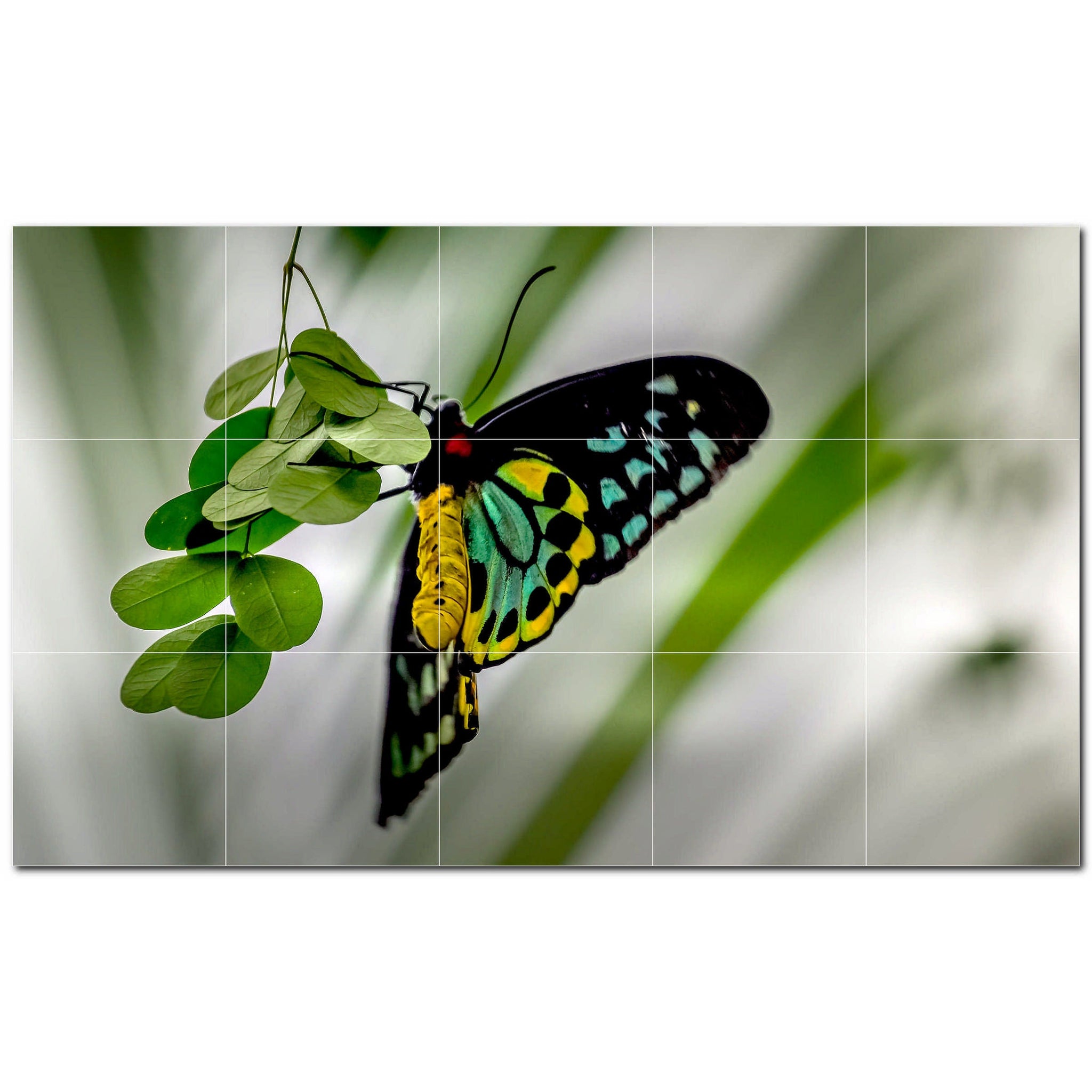 butterfly ceramic tile wall mural kitchen backsplash bathroom shower p500311