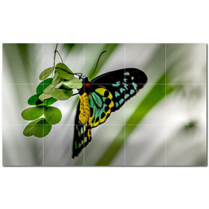 butterfly ceramic tile wall mural kitchen backsplash bathroom shower p500311