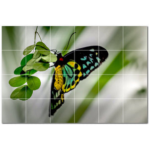 butterfly ceramic tile wall mural kitchen backsplash bathroom shower p500311