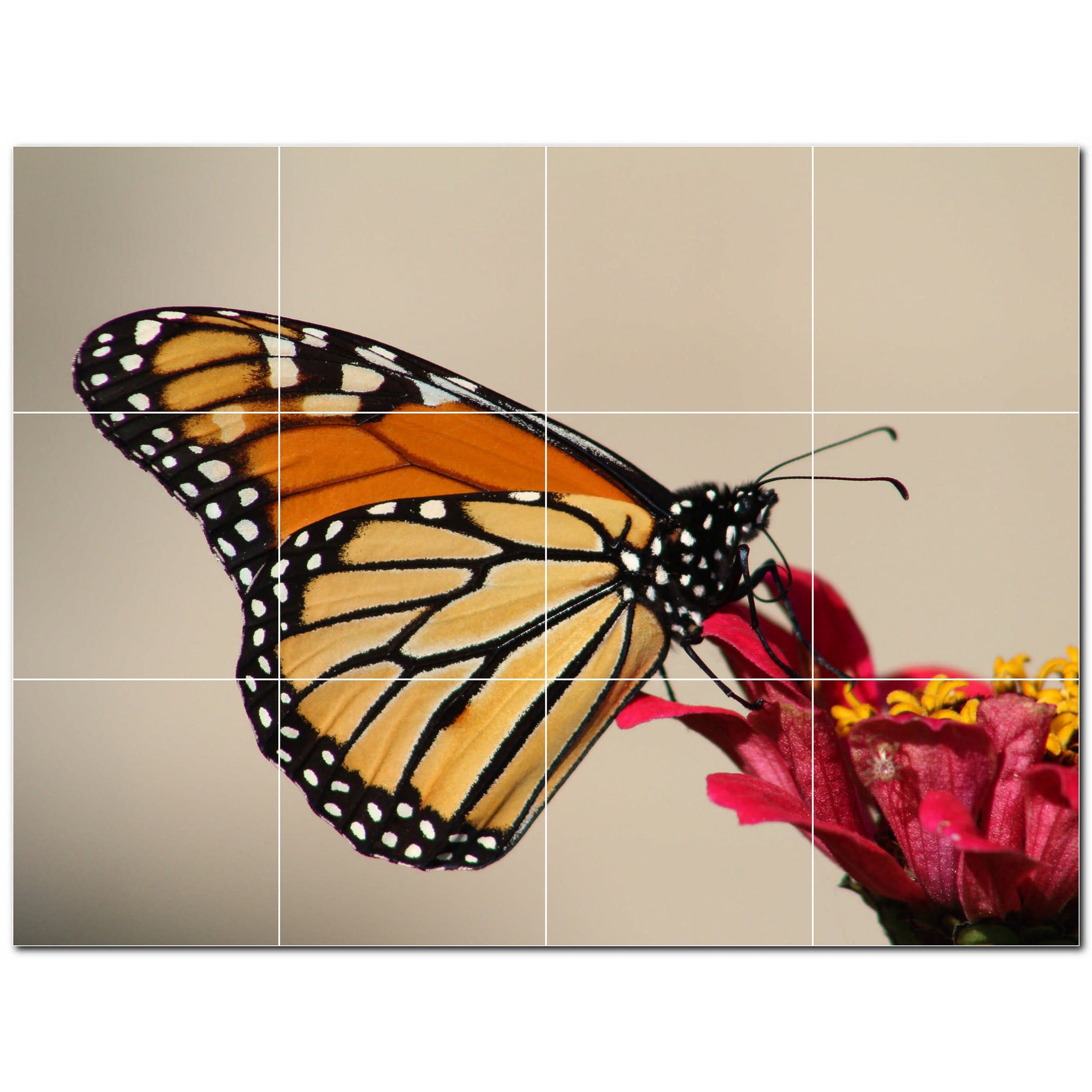 butterfly ceramic tile wall mural kitchen backsplash bathroom shower p500313