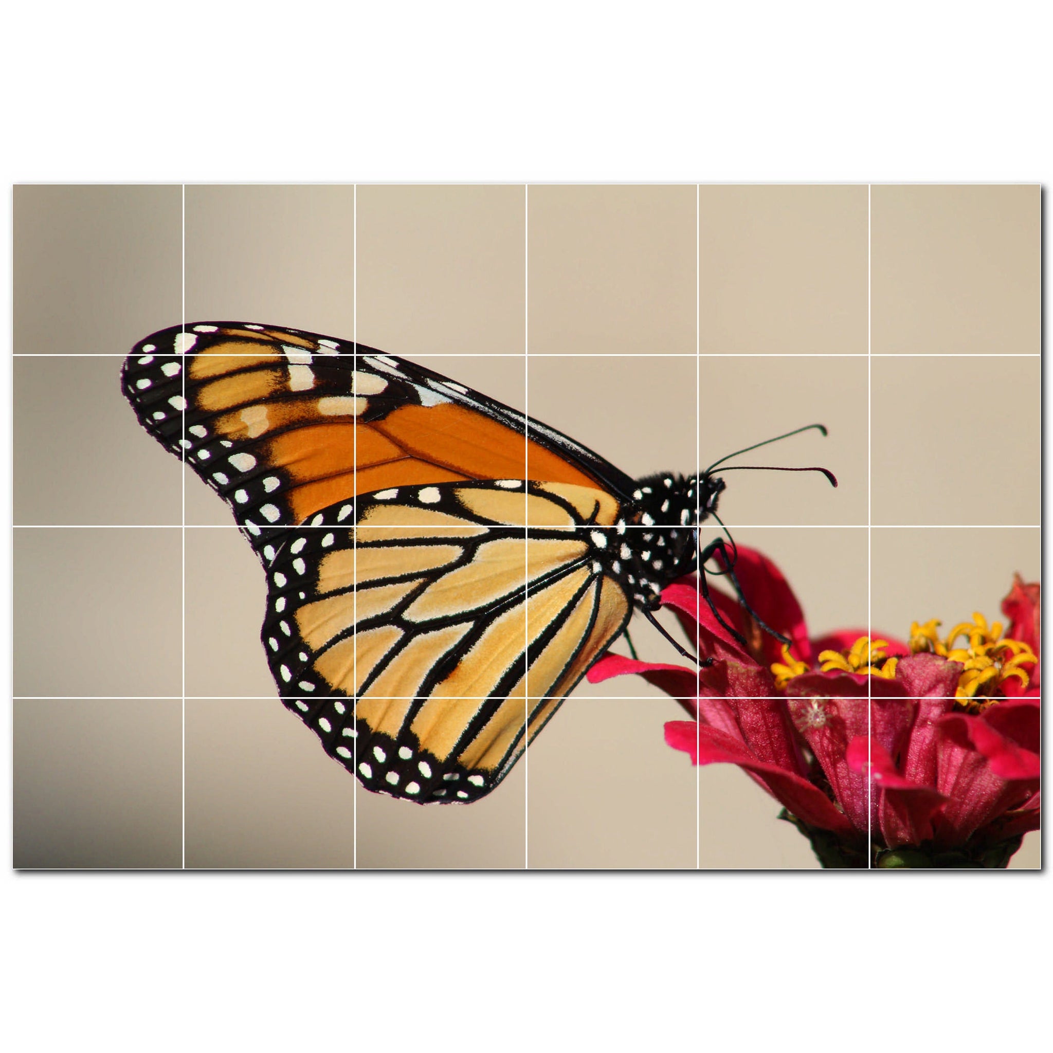 butterfly ceramic tile wall mural kitchen backsplash bathroom shower p500313