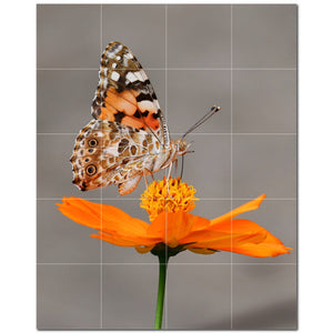 butterfly ceramic tile wall mural kitchen backsplash bathroom shower p500315