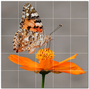 butterfly ceramic tile wall mural kitchen backsplash bathroom shower p500315