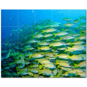 coral ceramic tile wall mural kitchen backsplash bathroom shower p500401