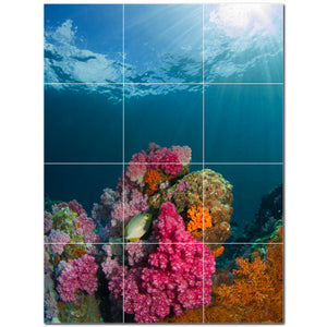 coral ceramic tile wall mural kitchen backsplash bathroom shower p500404