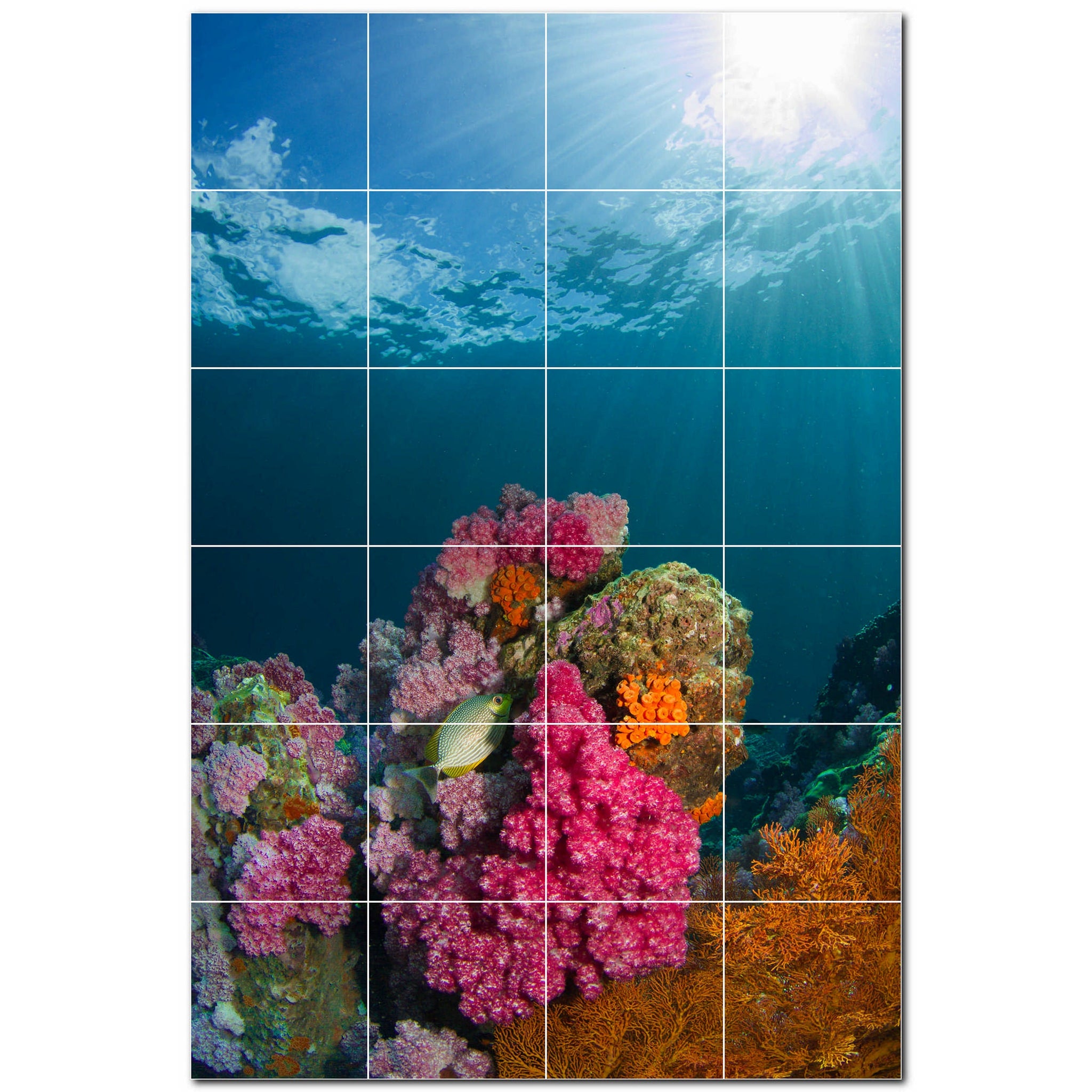 coral ceramic tile wall mural kitchen backsplash bathroom shower p500404