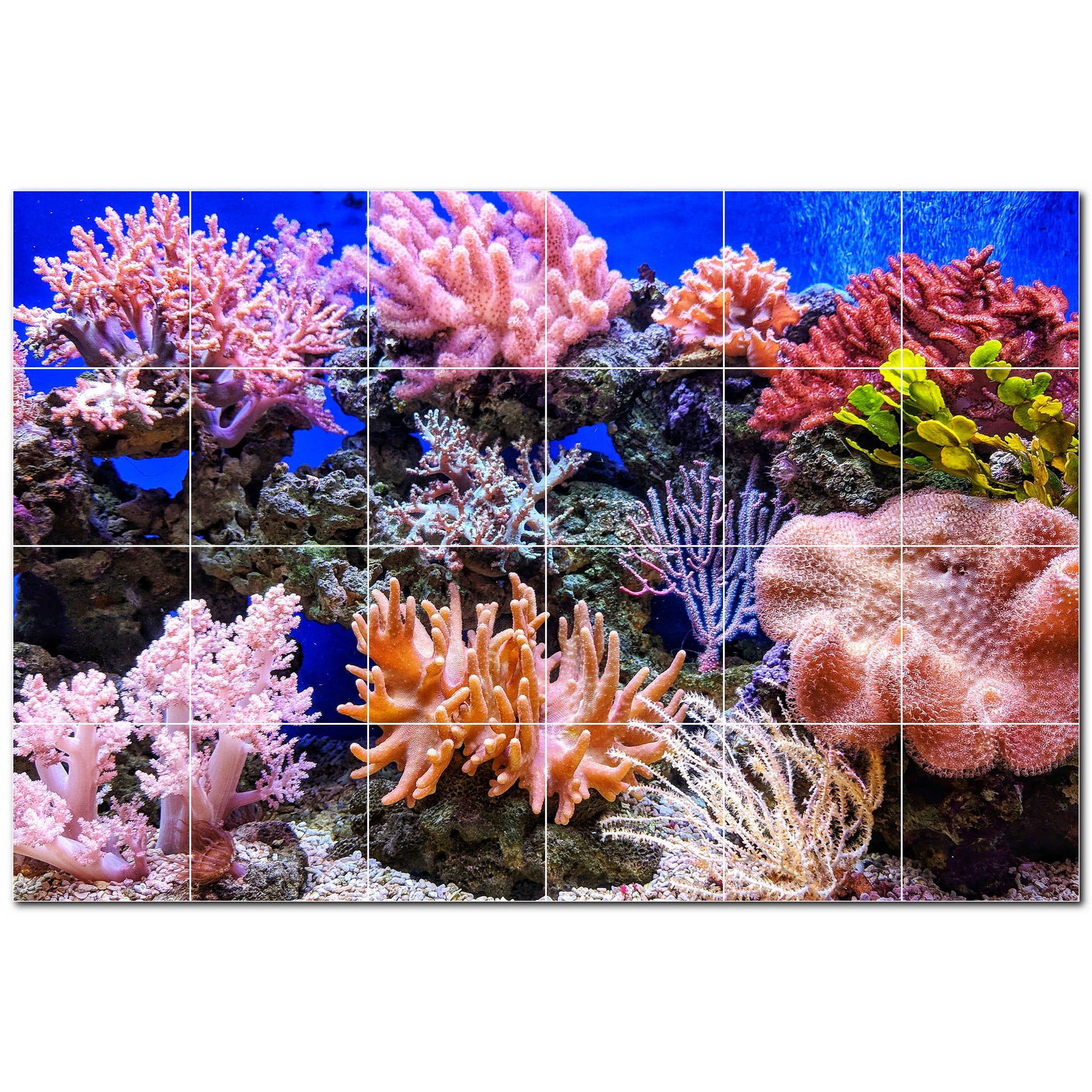 coral ceramic tile wall mural kitchen backsplash bathroom shower p500427