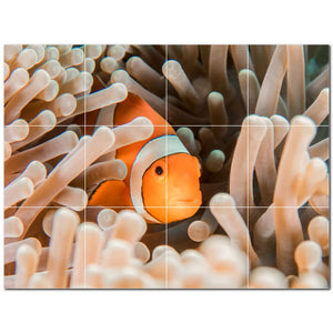 coral ceramic tile wall mural kitchen backsplash bathroom shower p500429