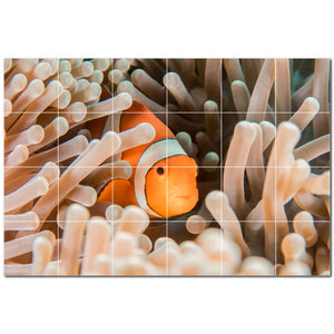 coral ceramic tile wall mural kitchen backsplash bathroom shower p500429