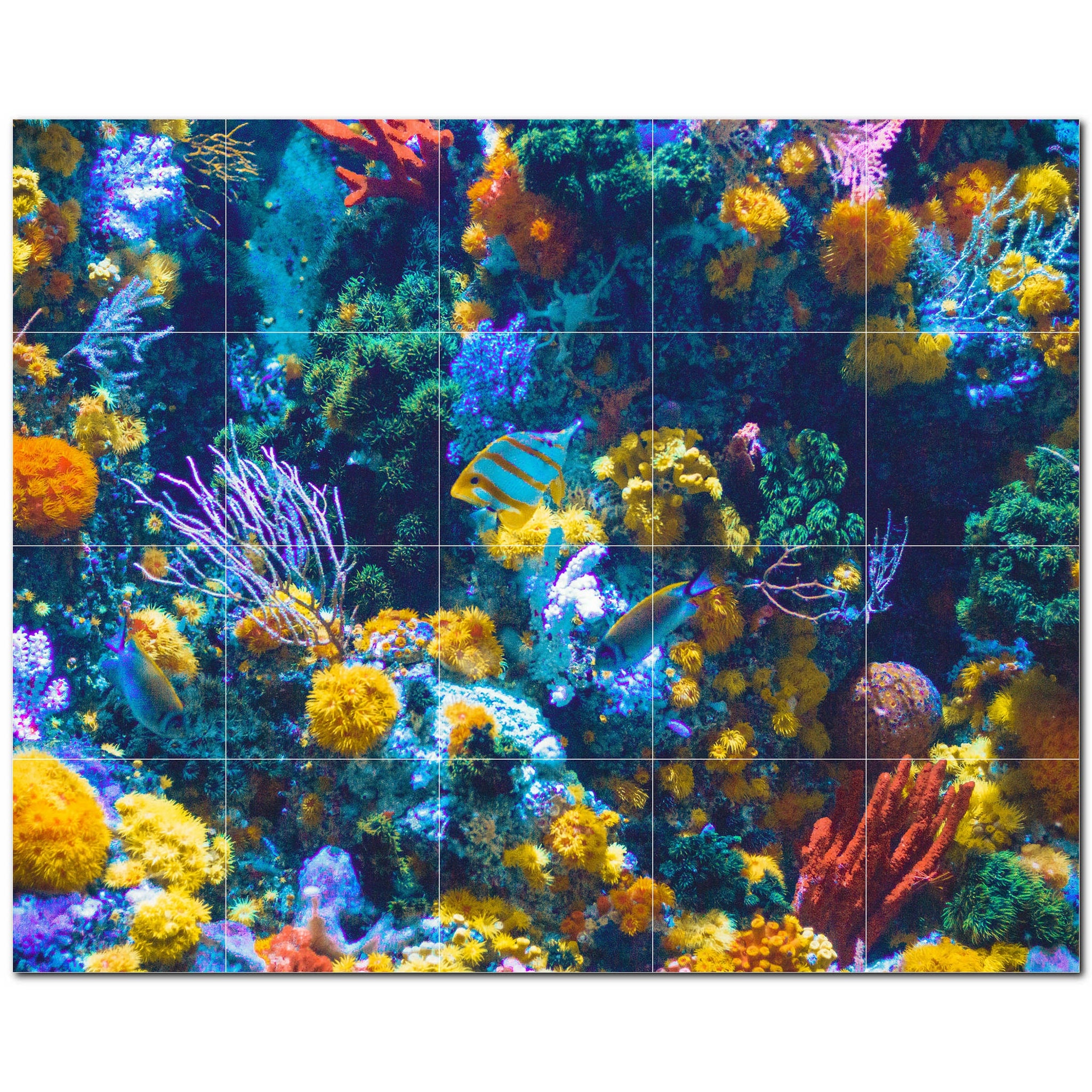 coral ceramic tile wall mural kitchen backsplash bathroom shower p500430