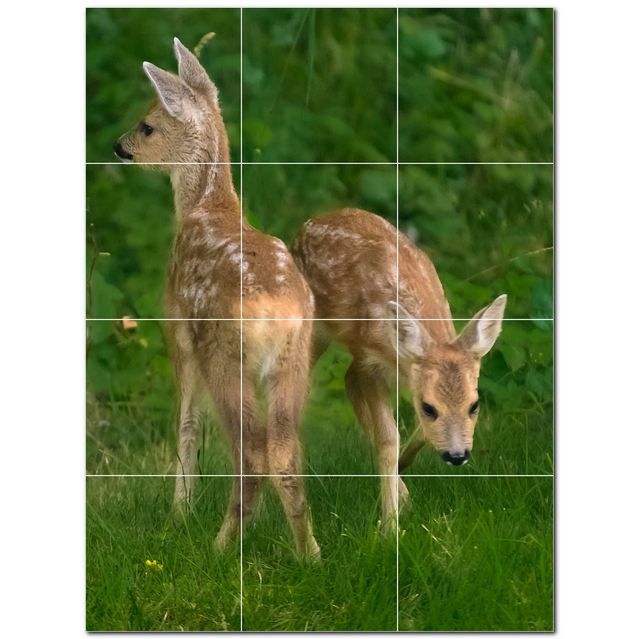 deer ceramic tile wall mural kitchen backsplash bathroom shower p500434