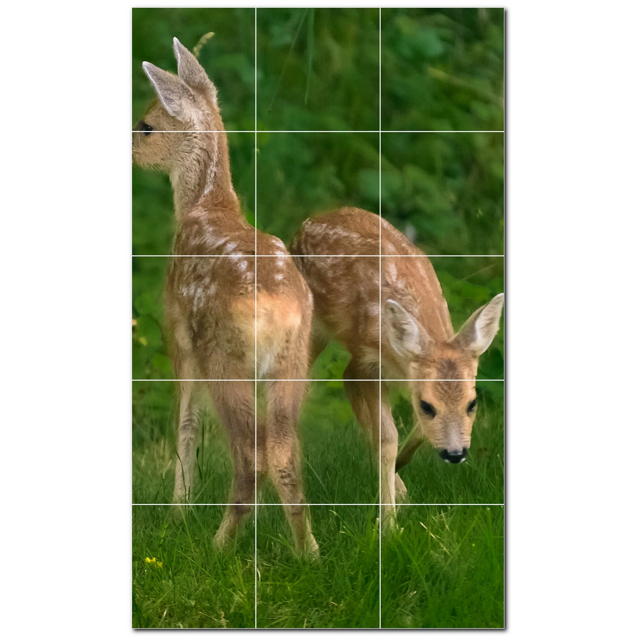 deer ceramic tile wall mural kitchen backsplash bathroom shower p500434