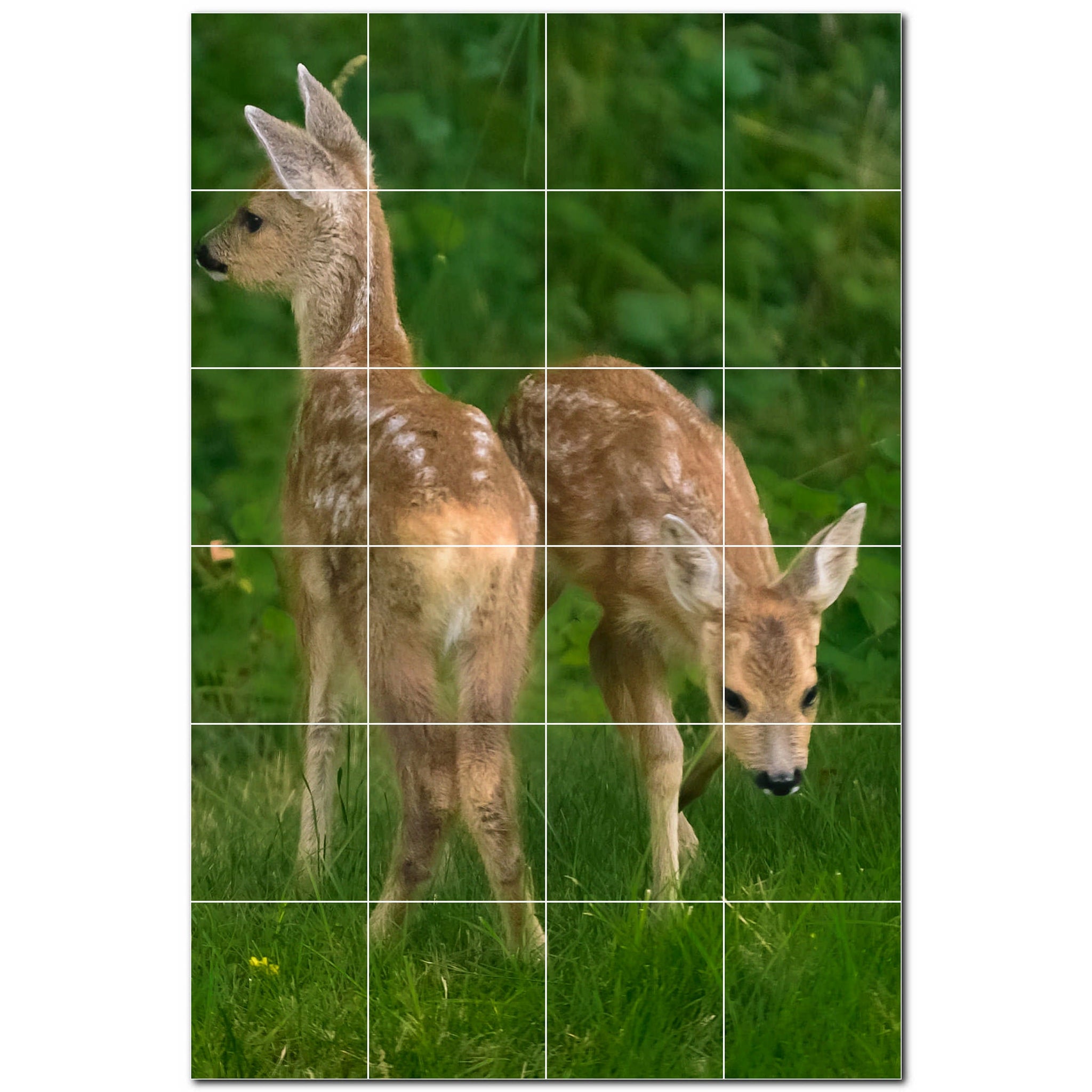 deer ceramic tile wall mural kitchen backsplash bathroom shower p500434