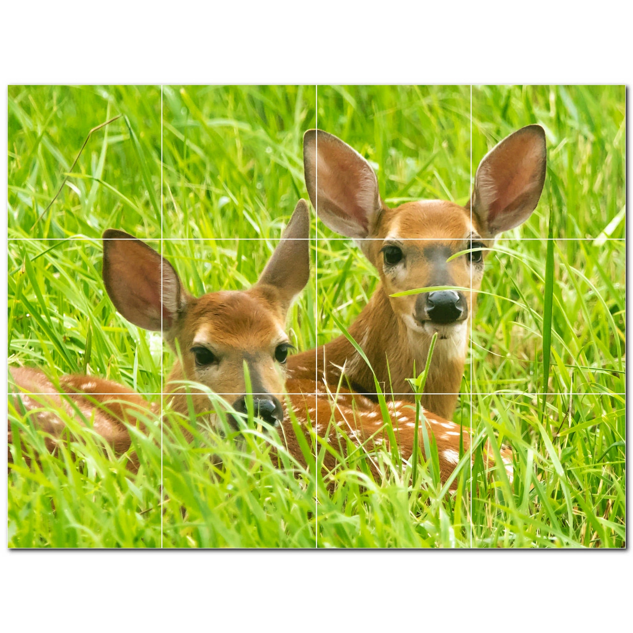 deer ceramic tile wall mural kitchen backsplash bathroom shower p500436