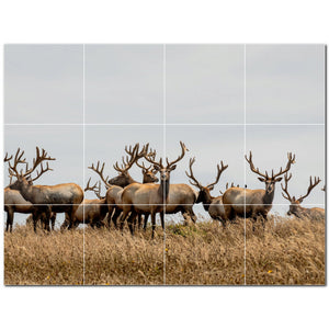 deer ceramic tile wall mural kitchen backsplash bathroom shower p500437