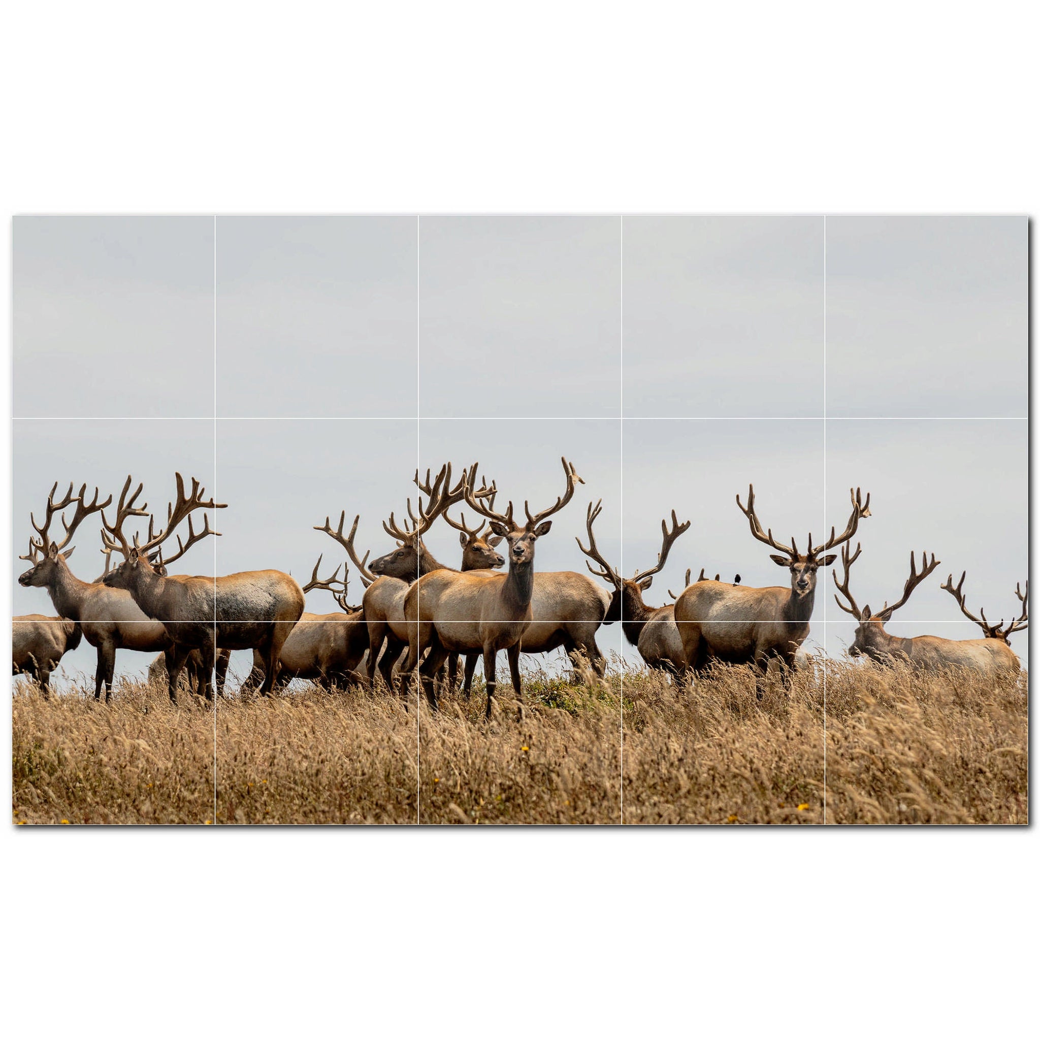 deer ceramic tile wall mural kitchen backsplash bathroom shower p500437