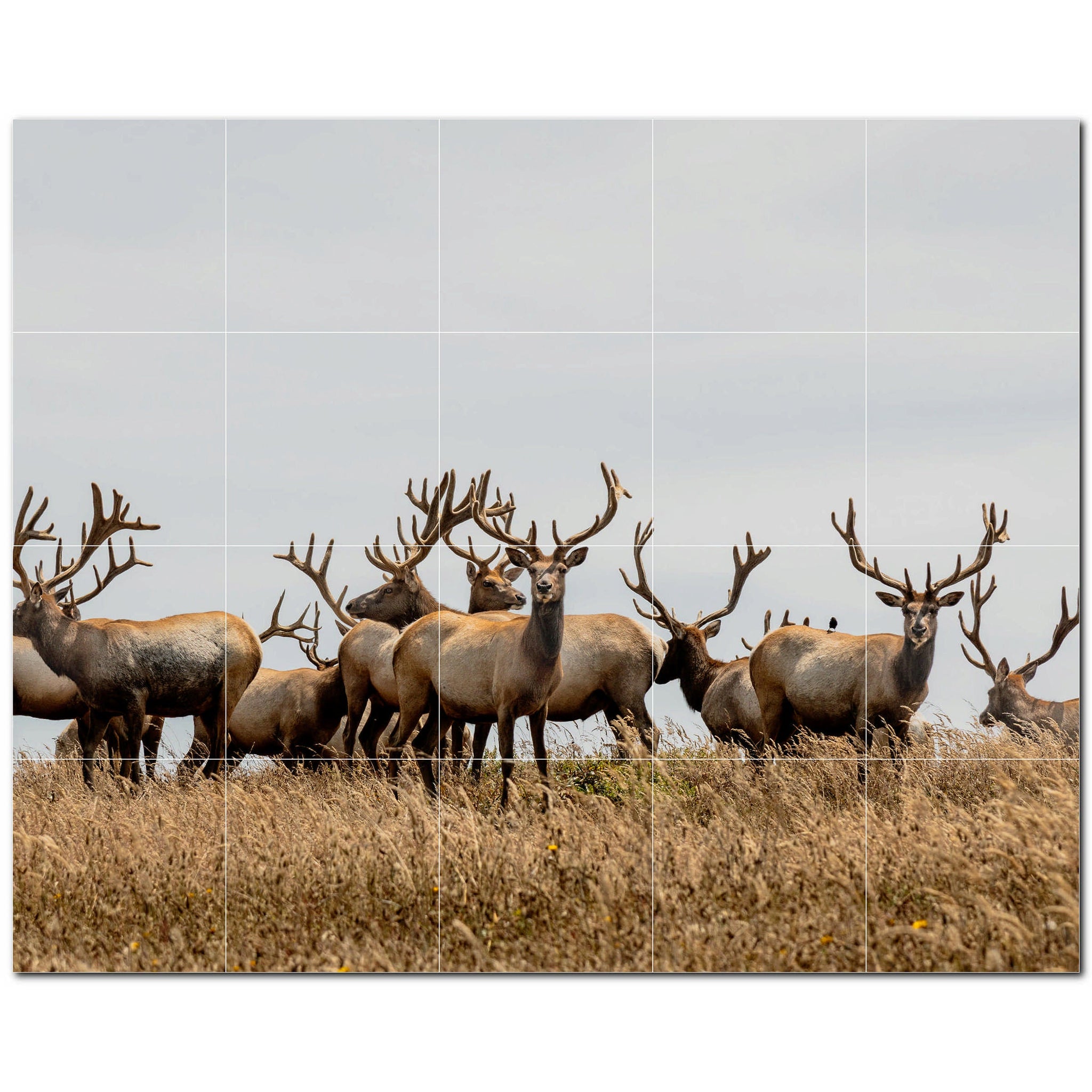 deer ceramic tile wall mural kitchen backsplash bathroom shower p500437