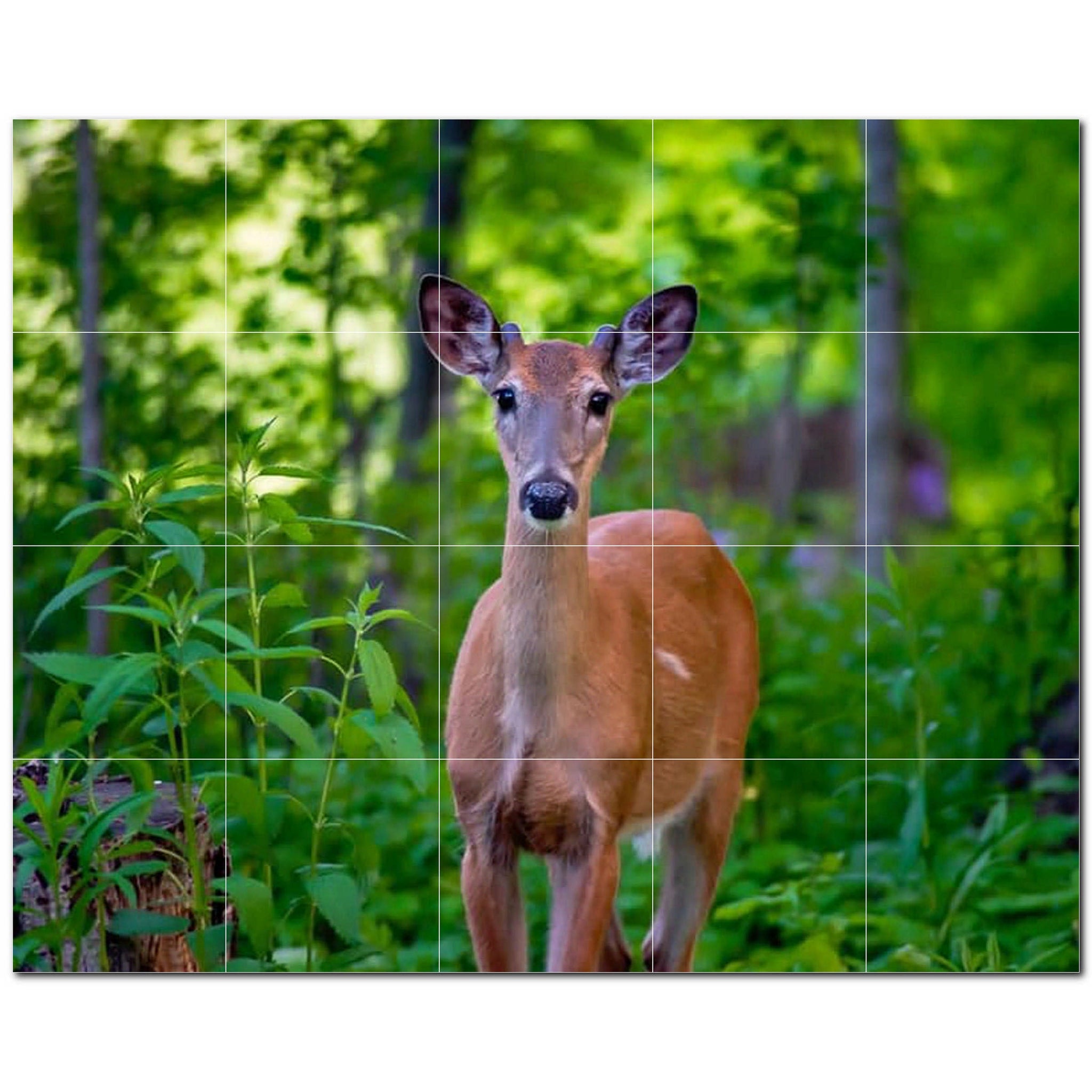 deer ceramic tile wall mural kitchen backsplash bathroom shower p500438