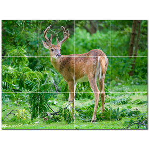 deer ceramic tile wall mural kitchen backsplash bathroom shower p500439