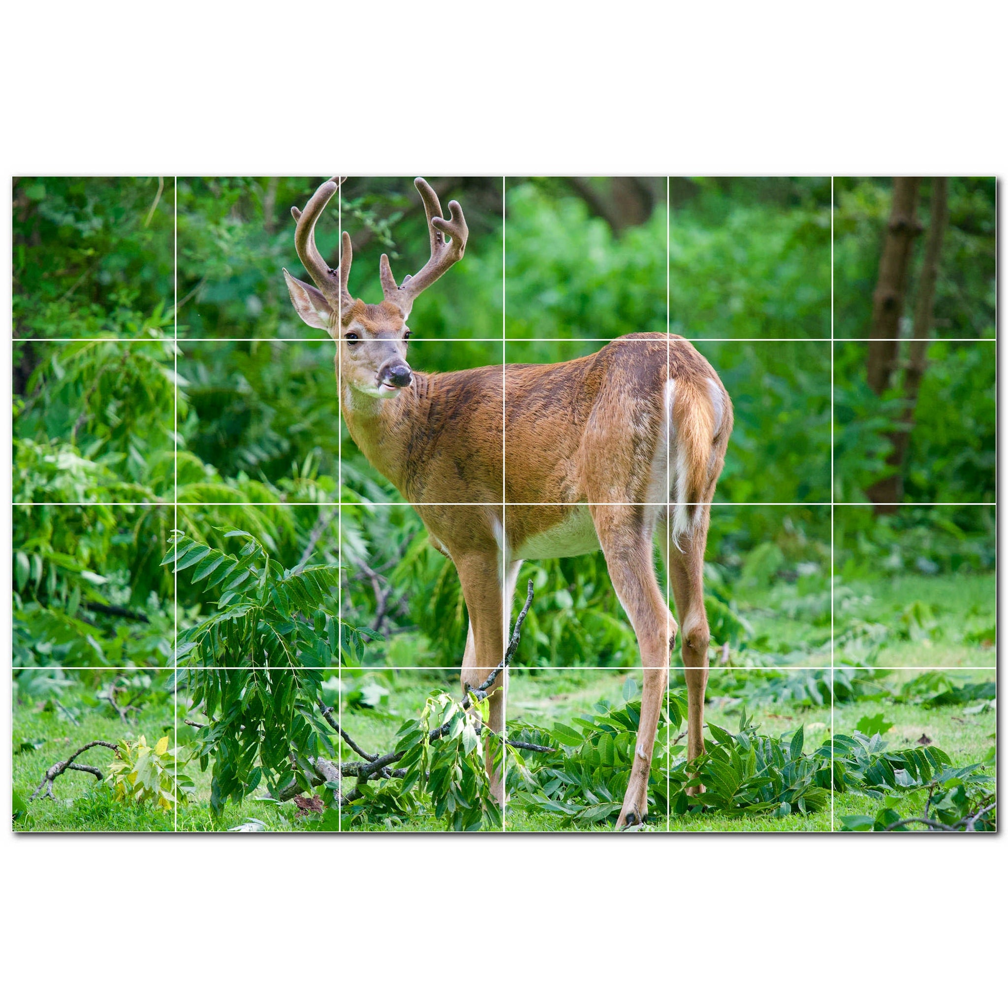 deer ceramic tile wall mural kitchen backsplash bathroom shower p500439