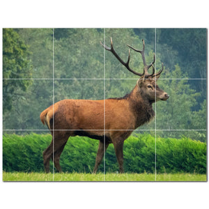 deer ceramic tile wall mural kitchen backsplash bathroom shower p500441