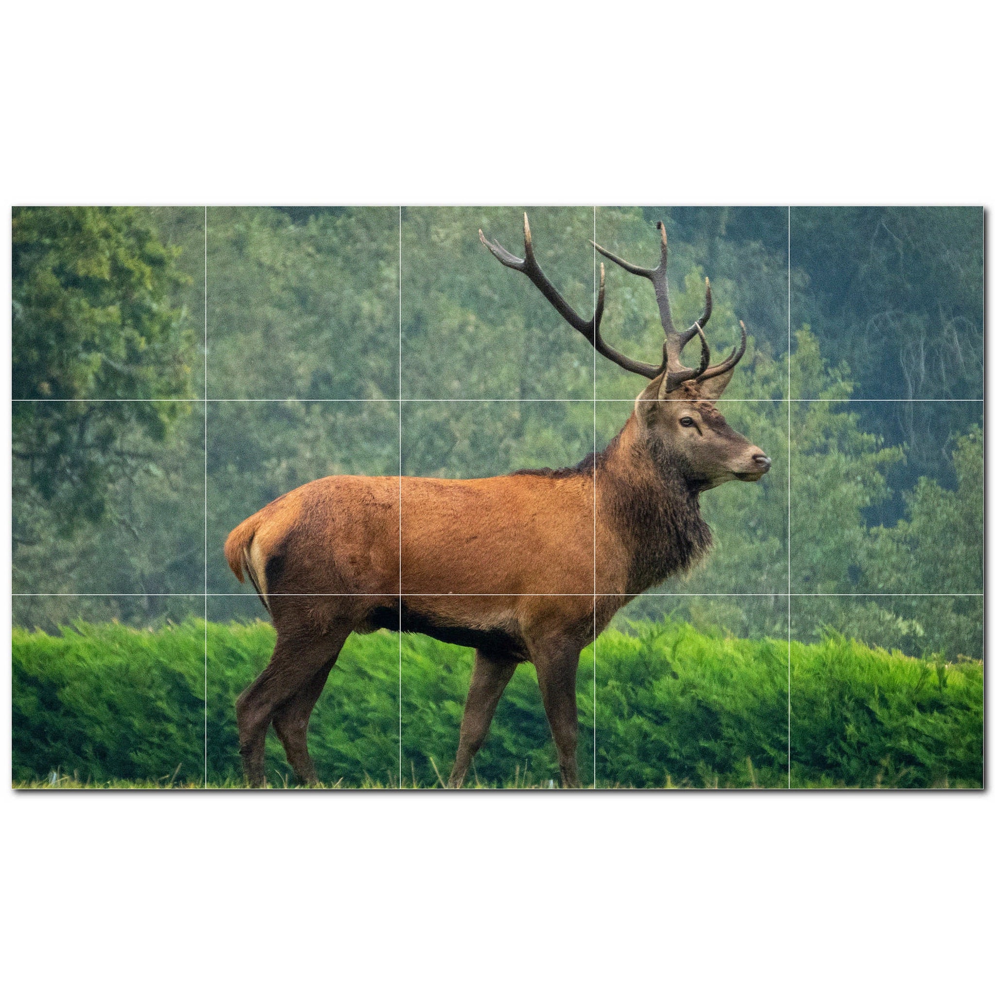 deer ceramic tile wall mural kitchen backsplash bathroom shower p500441