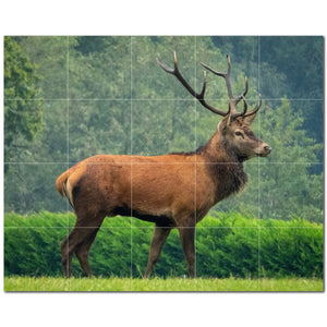 deer ceramic tile wall mural kitchen backsplash bathroom shower p500441