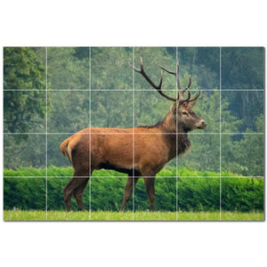 deer ceramic tile wall mural kitchen backsplash bathroom shower p500441