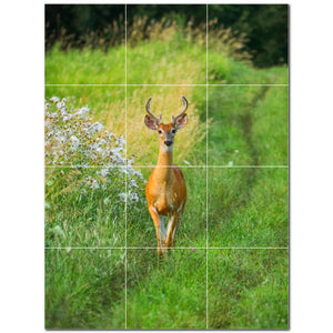 deer ceramic tile wall mural kitchen backsplash bathroom shower p500442