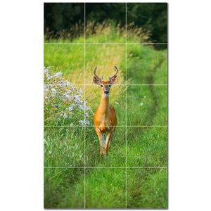 deer ceramic tile wall mural kitchen backsplash bathroom shower p500442