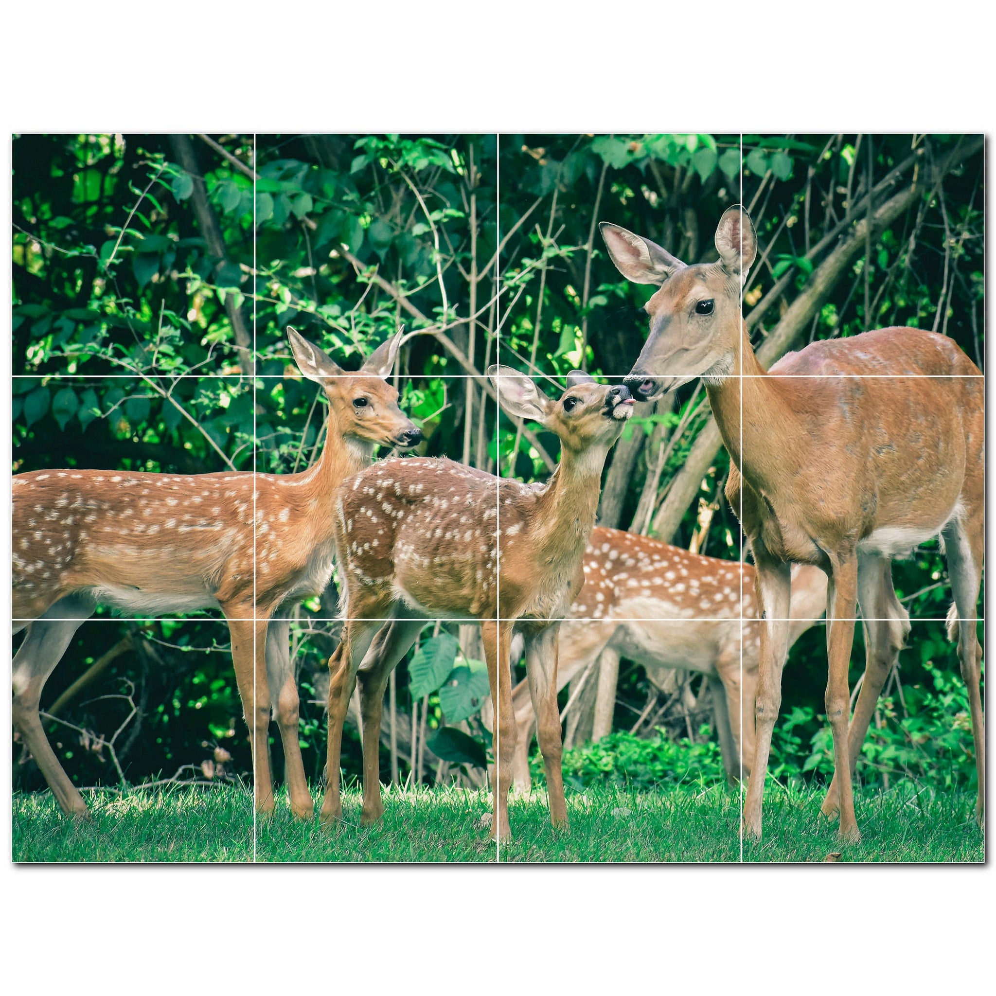 deer ceramic tile wall mural kitchen backsplash bathroom shower p500446