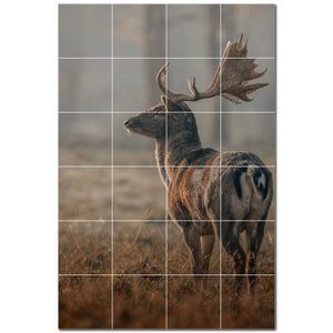 deer ceramic tile wall mural kitchen backsplash bathroom shower p500448