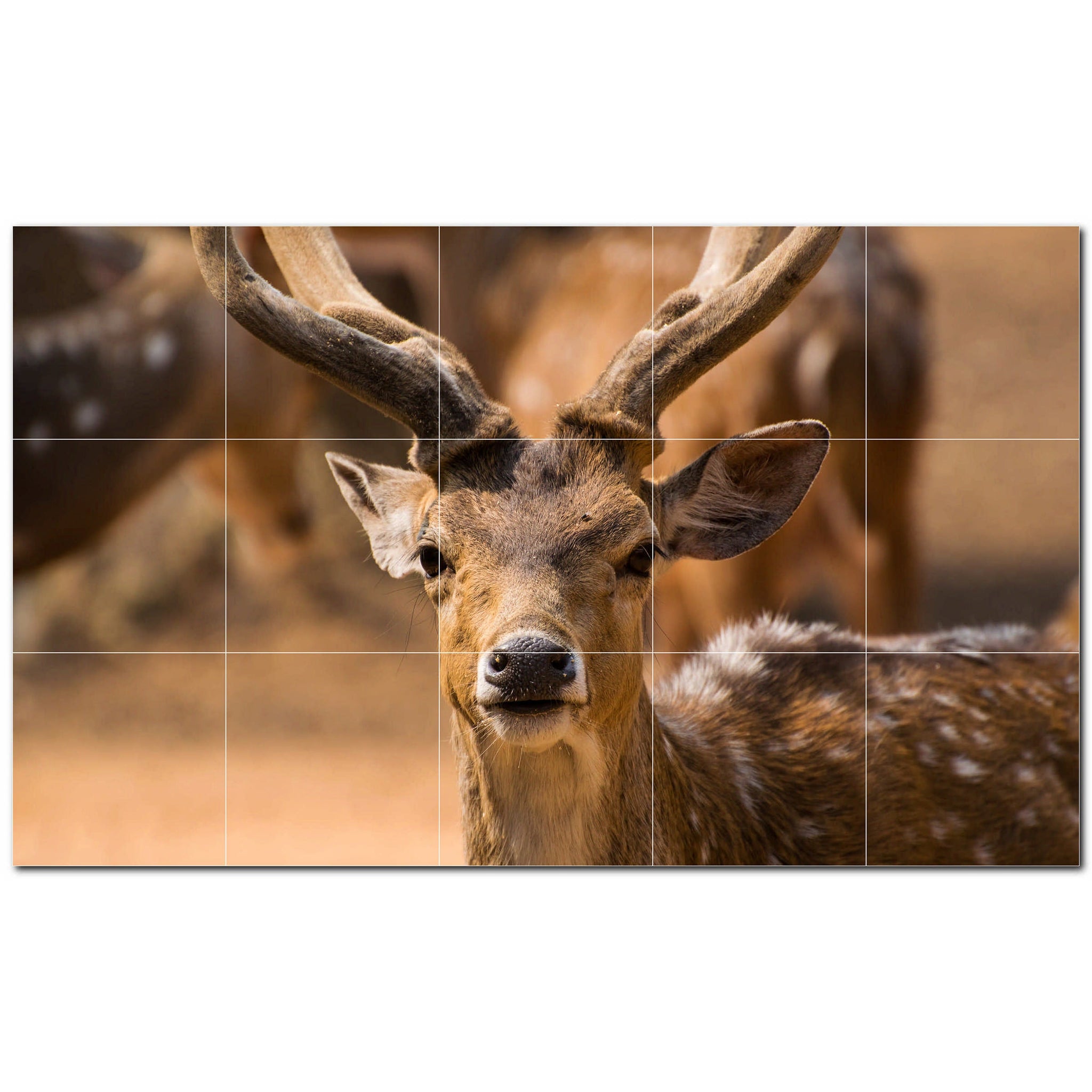 deer ceramic tile wall mural kitchen backsplash bathroom shower p500449