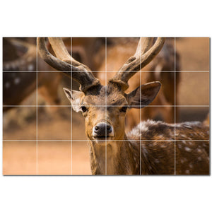 deer ceramic tile wall mural kitchen backsplash bathroom shower p500449