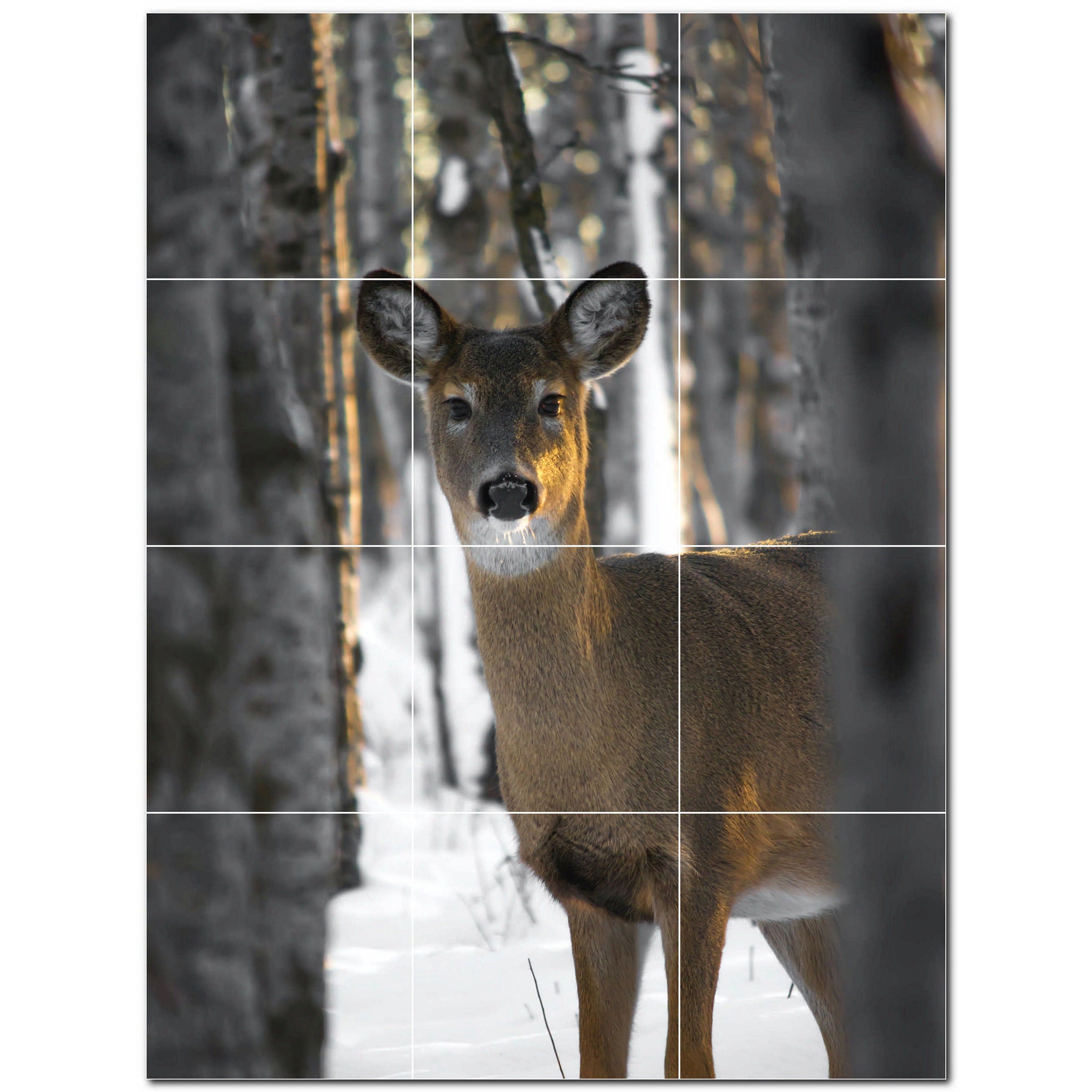 deer ceramic tile wall mural kitchen backsplash bathroom shower p500450