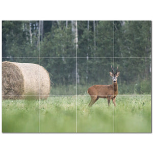 deer ceramic tile wall mural kitchen backsplash bathroom shower p500451