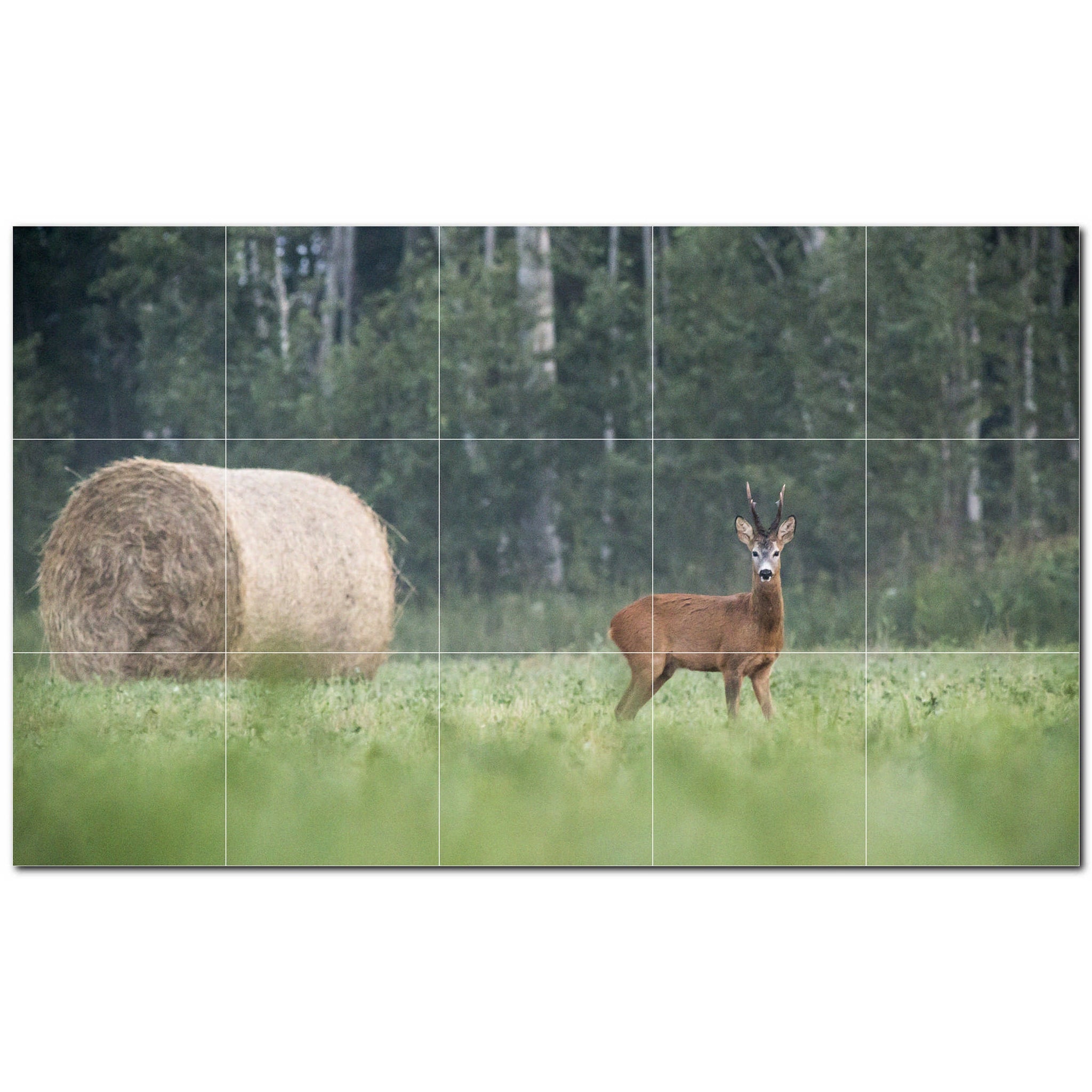 deer ceramic tile wall mural kitchen backsplash bathroom shower p500451